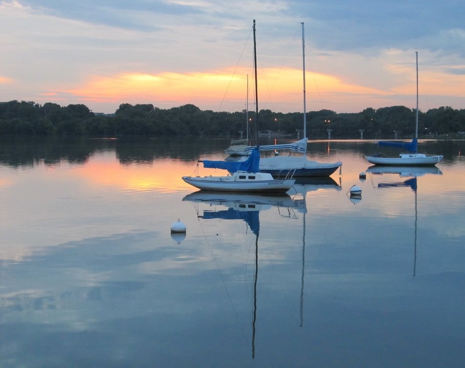 sail boats on the lake at colorful sunset above the plants