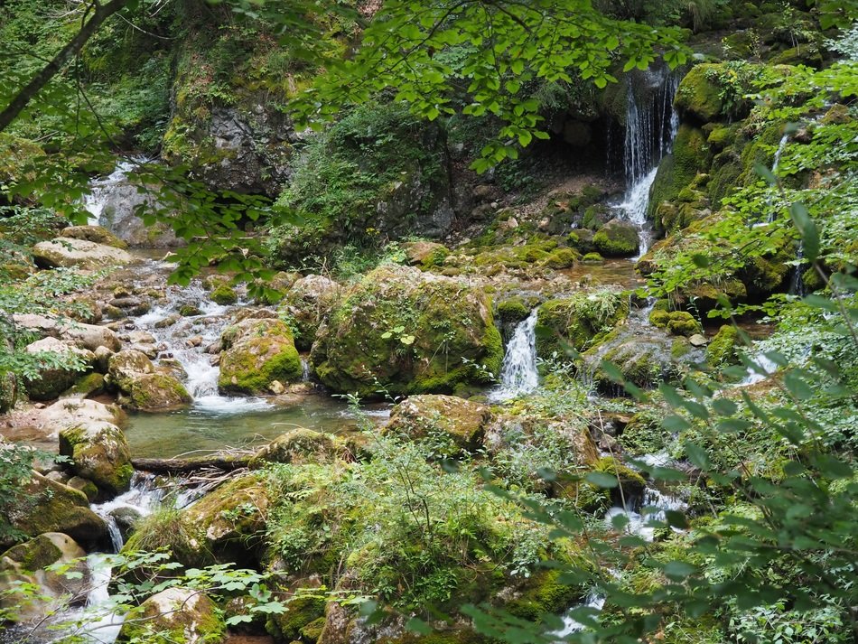 Green waterfall in nature