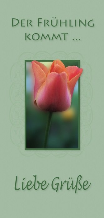 tulip image on the cover