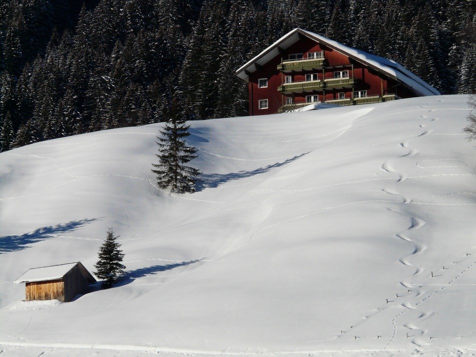 footprints in the snow on the mountain