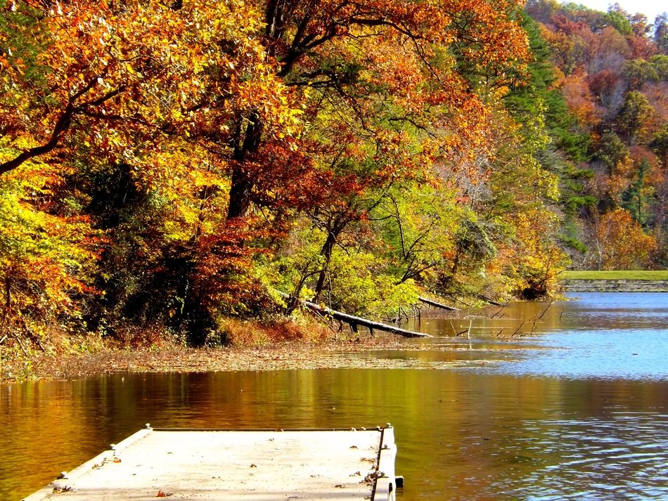 wooden pier on lake in front of colorful forest at fall