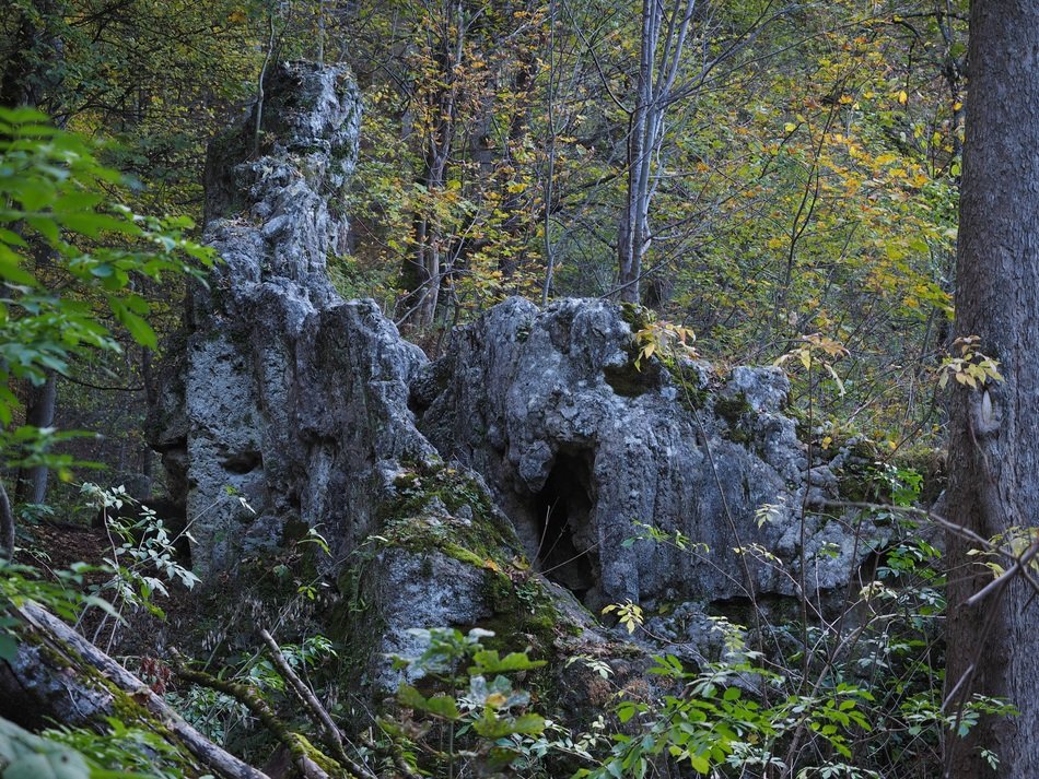rocks in the forest at kalktuffberg