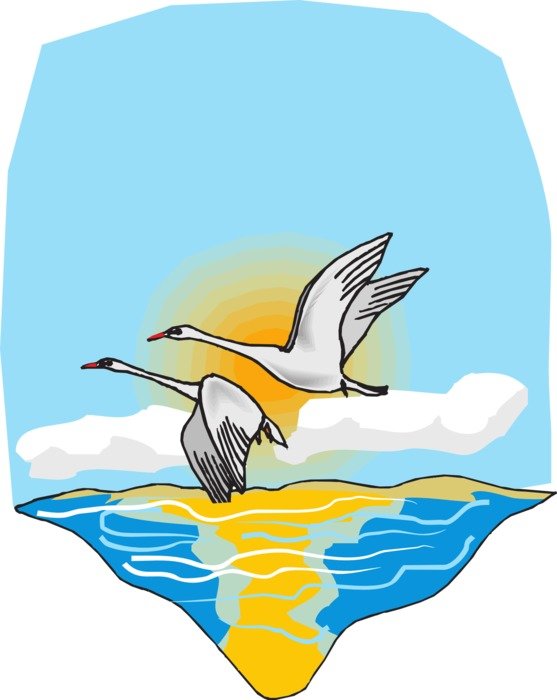 painting of flying swans in the sky