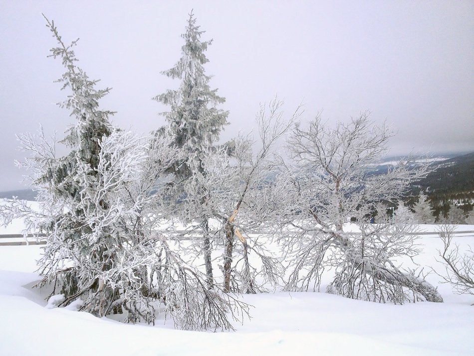 Landscape of Idre