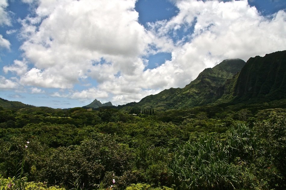 mountain with trees under the sky, hawaii, valley