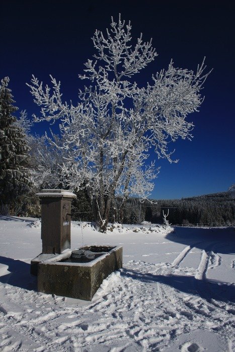 photo of a fountain in a winter landscape