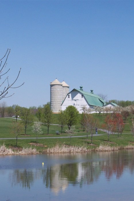 Farm in countryside