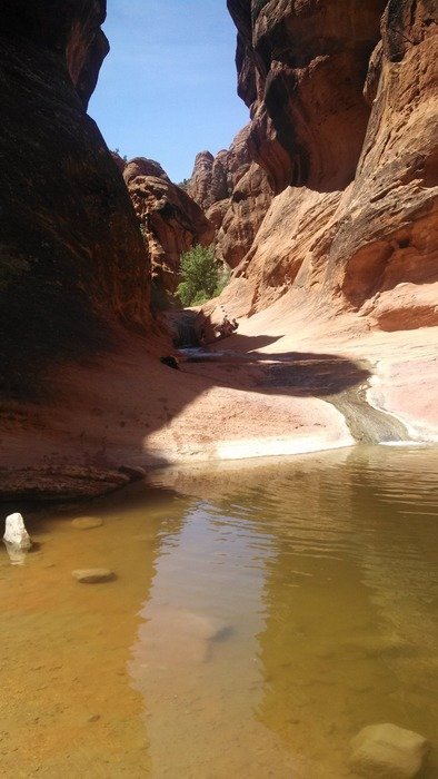 stream in the red rocks in ute