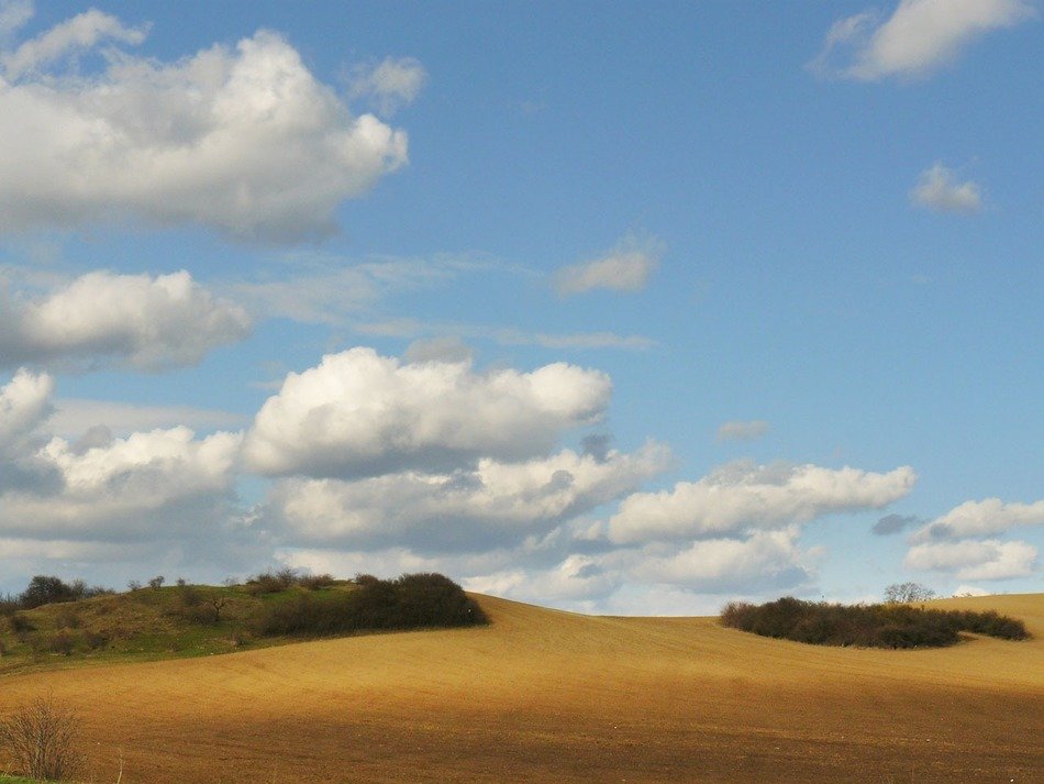 delicate and beautiful landscape