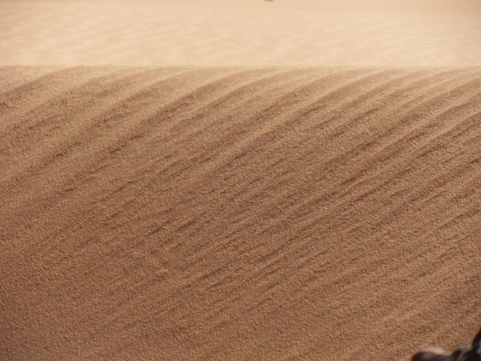 wind in the desert sand