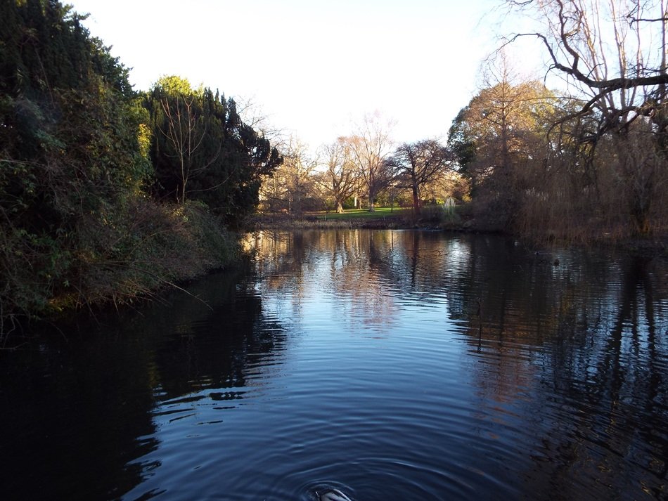 Edinburgh Botanical garden