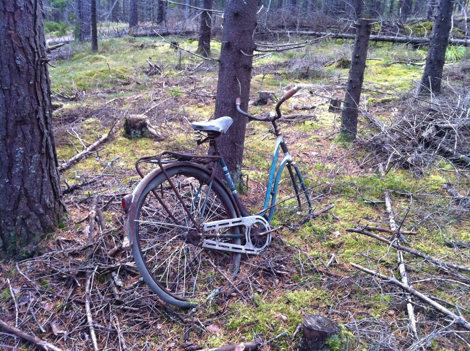 bike like scrap metal in the forest