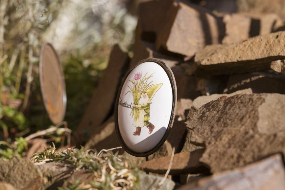 garden decoration in spring