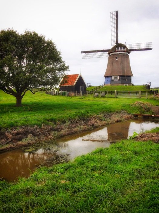 windmill near a creek in the netherlands