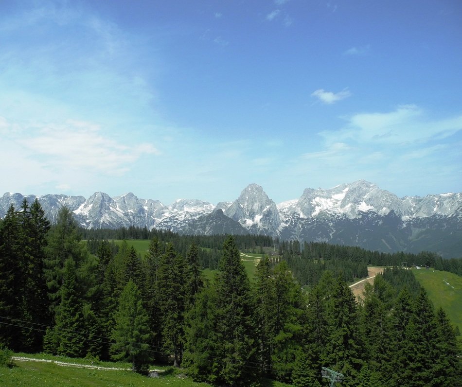panoramic view of the mountains with coniferous trees