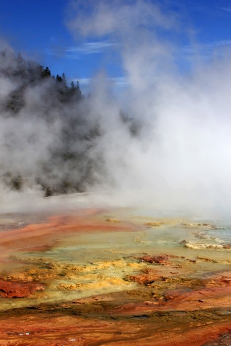 Landscape of a yellowstone