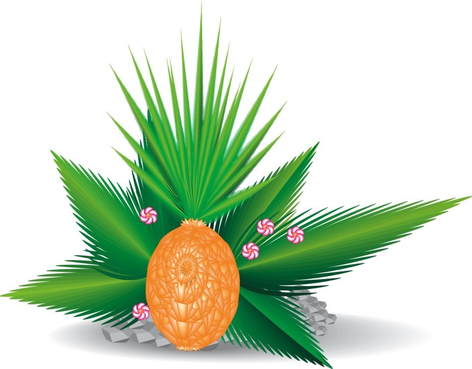 Exotic fruit on a background of palm leaves