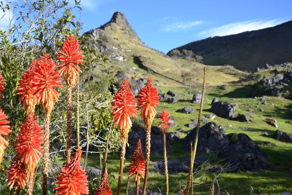 mountain landscape in elcocuy in colombia