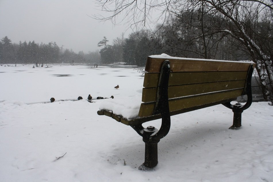 bench by the lake in winter