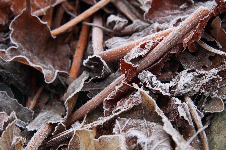 wondrous cool crystal fall