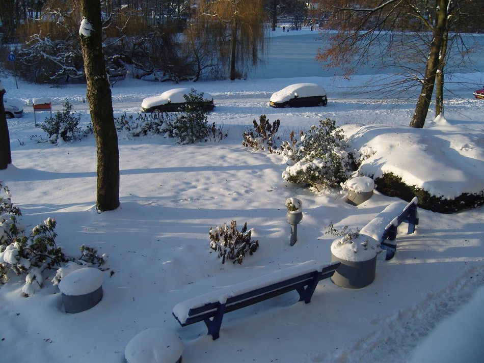 panorama of the snow landscape