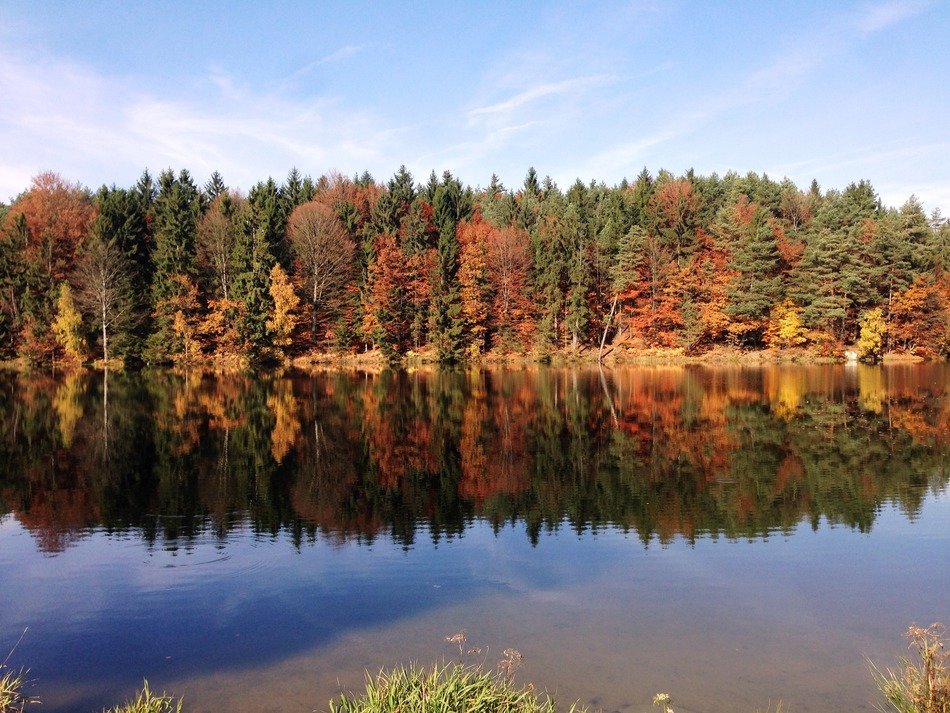 reflection in lake of autumn forest