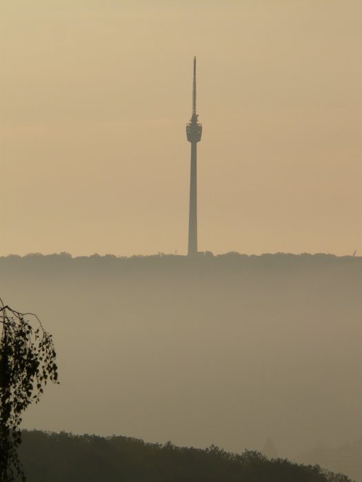 TV tower in the morning mist