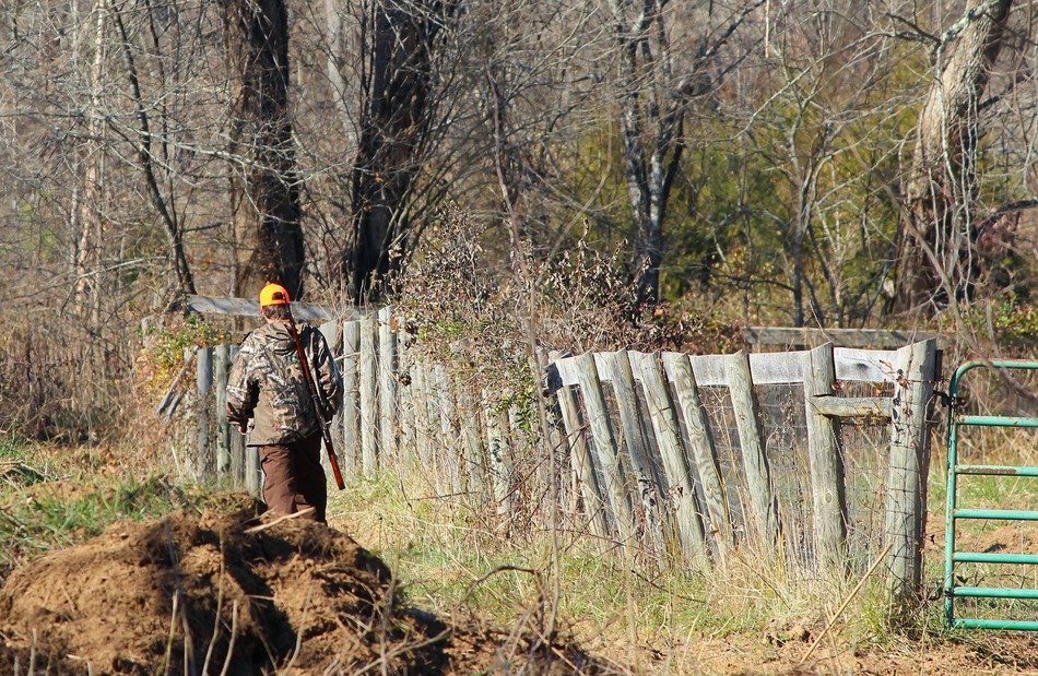 the hunter goes along the fence