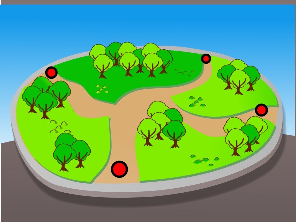 Drawing of the park map with plants