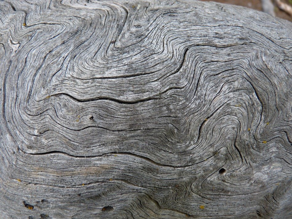 incredible rings wood