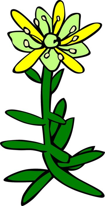 plant with flower as a colorful graphic image