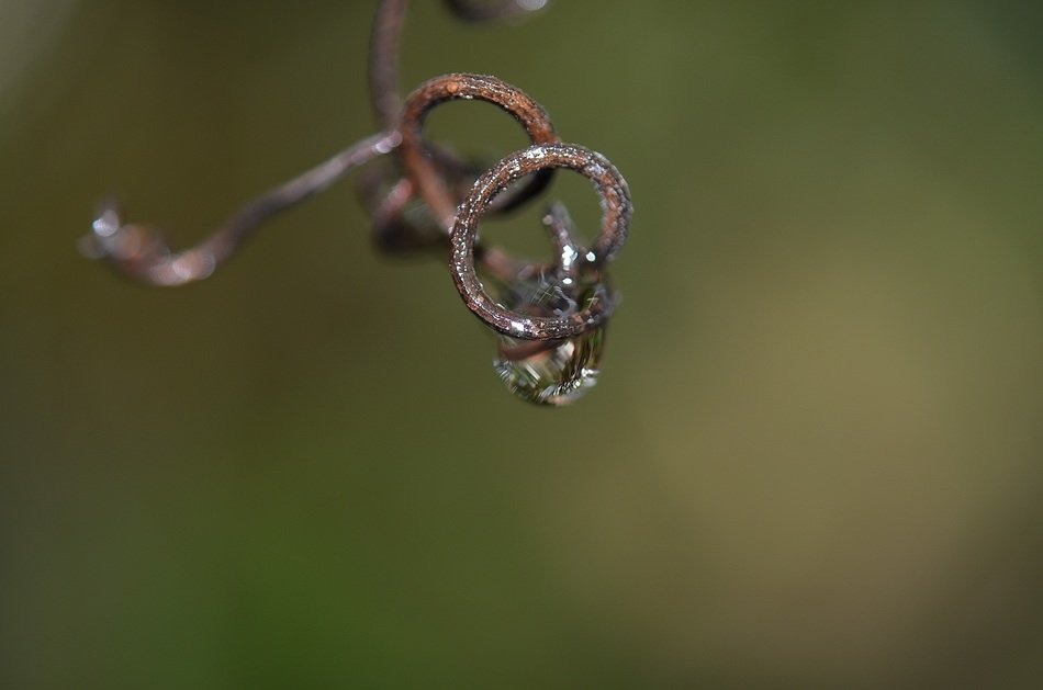 Macro Photo Of The Rain Drops On The Metal