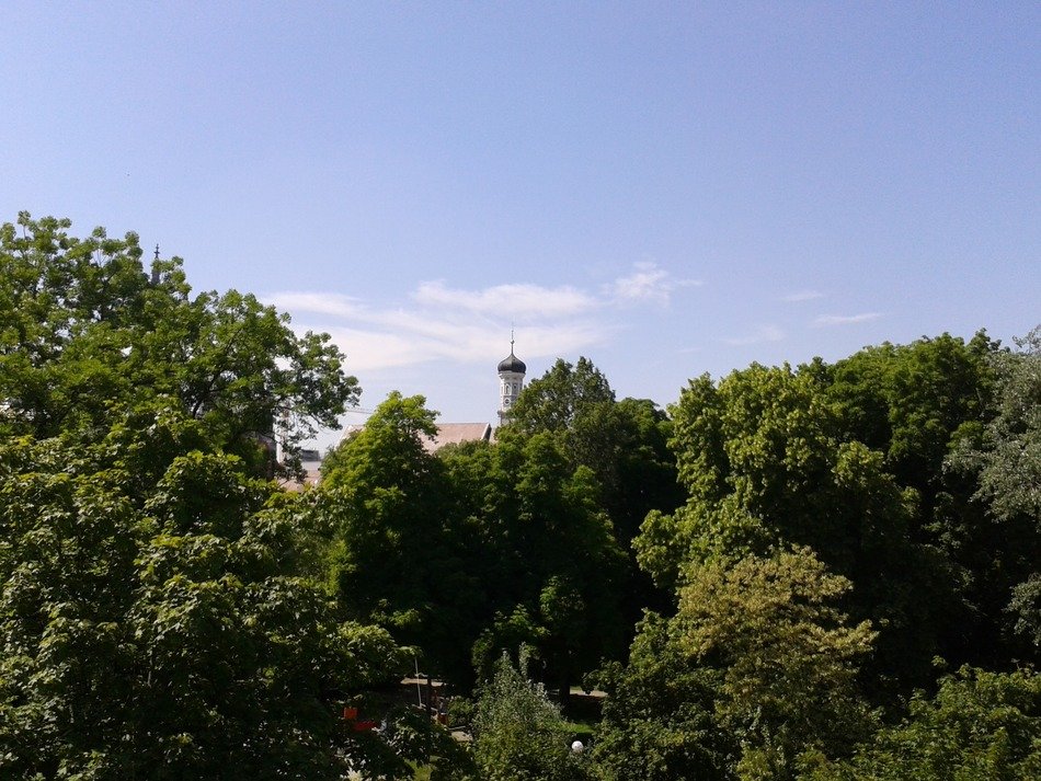landscape of spire of the church for the trees