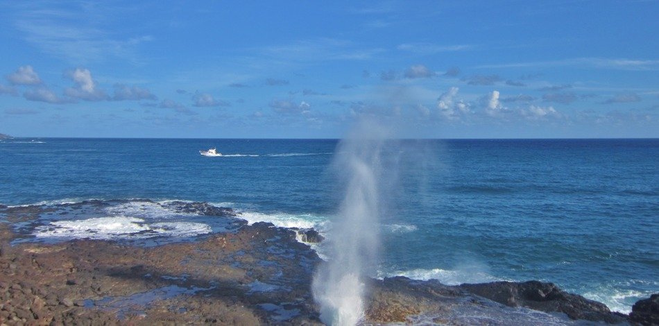 beach geyser in hawaii