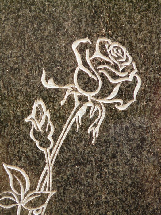 Rose on the tombstone