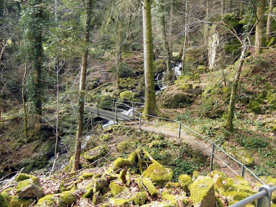 Beautiful Murga Valley with trees and rocks in the Black Forest in Germany