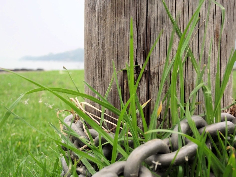 wooden pole