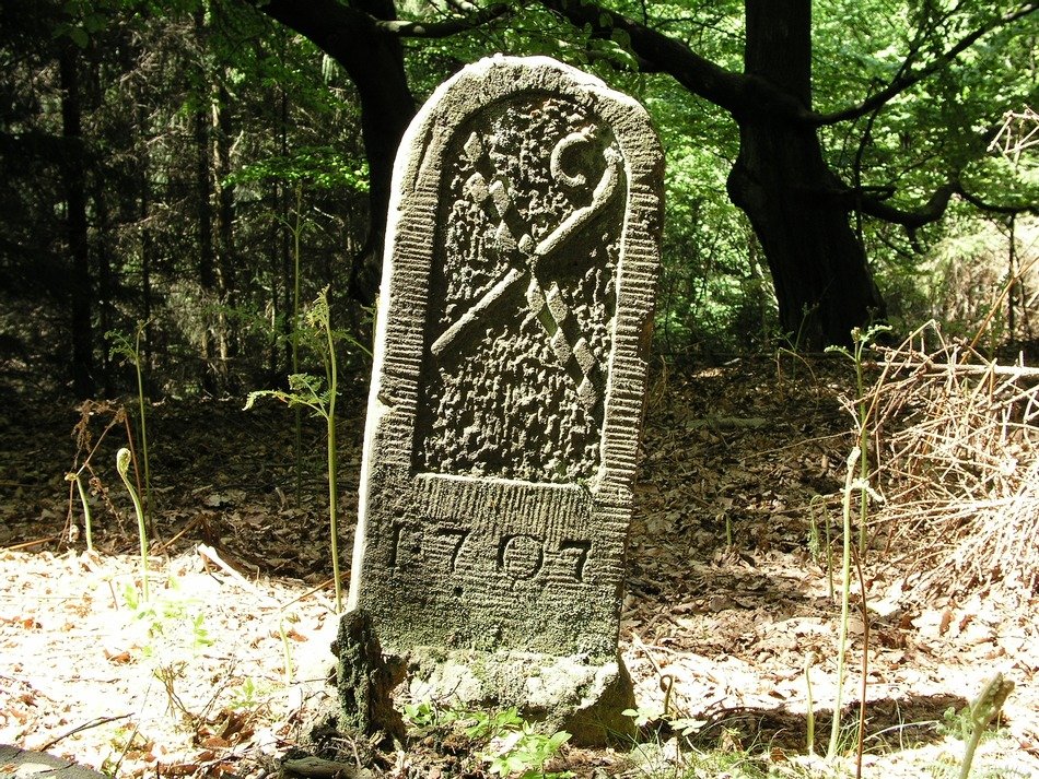 landmark forest blankenrode