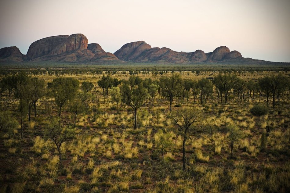 desert area in the mountains