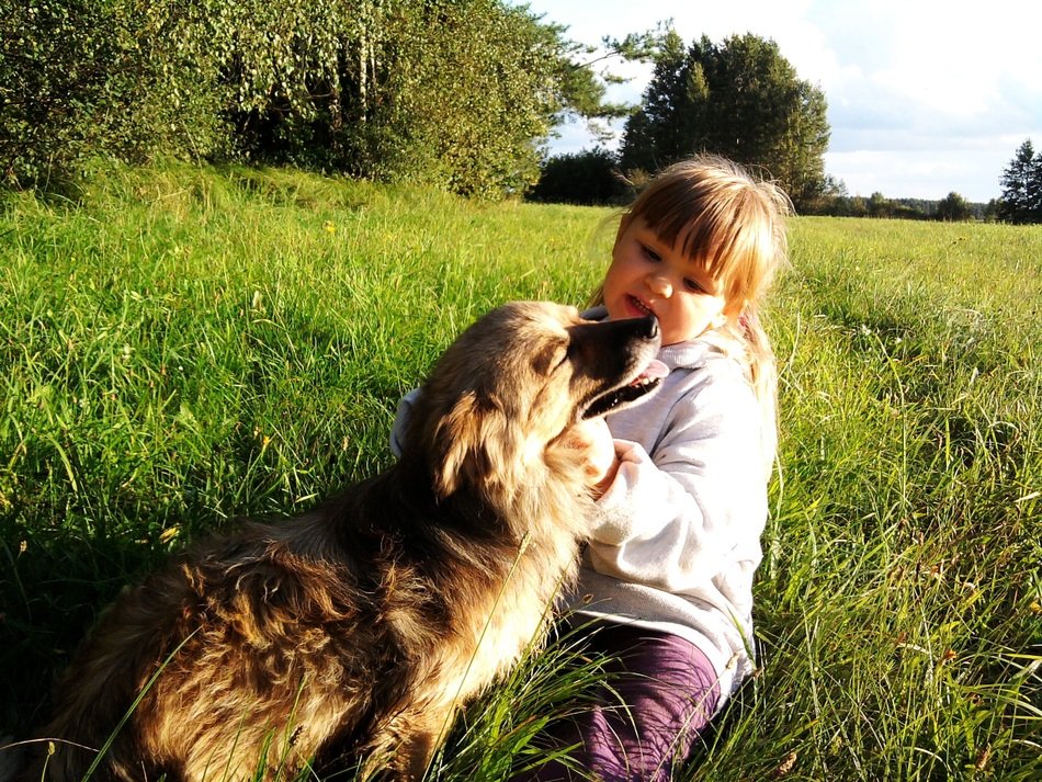 child and dog in the meadow