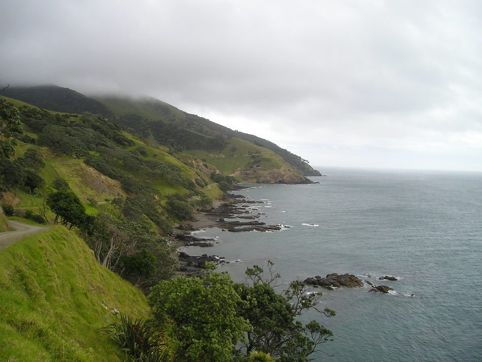 fog over the picturesque coast of the north island in new zealand