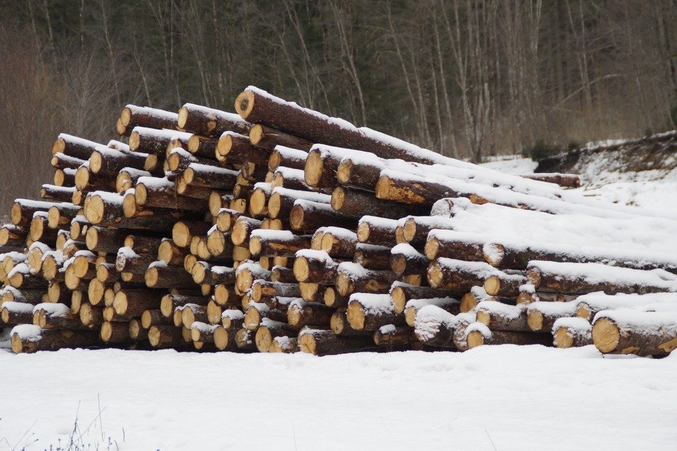stacked up wooden logs in winter