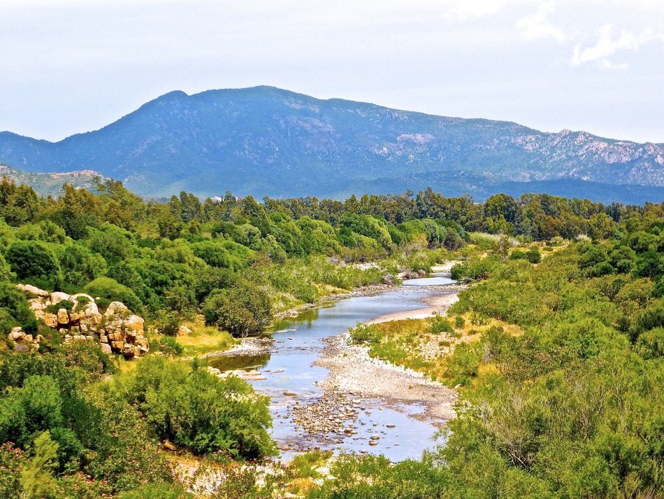 river in a rural landscape