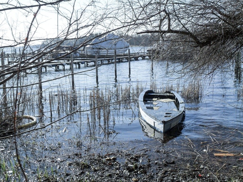boat on the lake under the trees