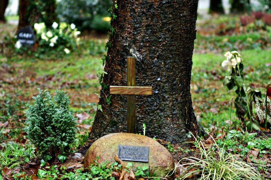 incredible cemetery