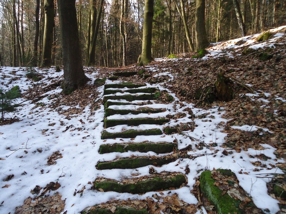 staircase in the forest in winter