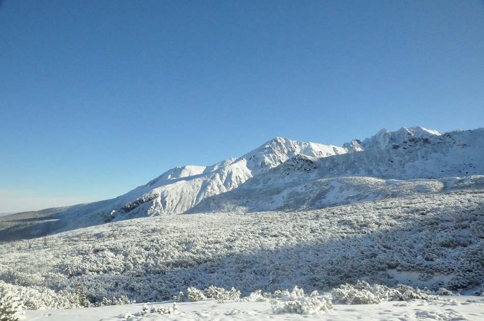 peak in the tatras in the snow