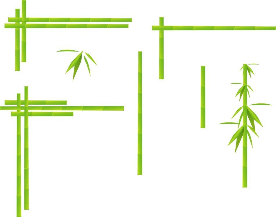 bamboo corner as a graphic image