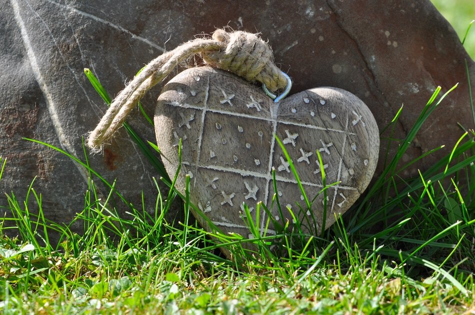 heart nature wood