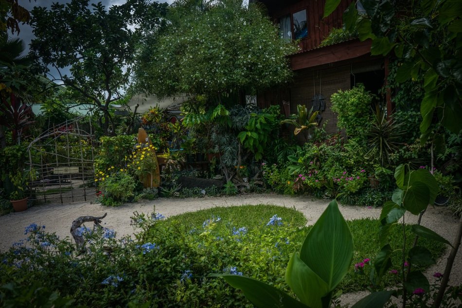 Beautiful bora green garden